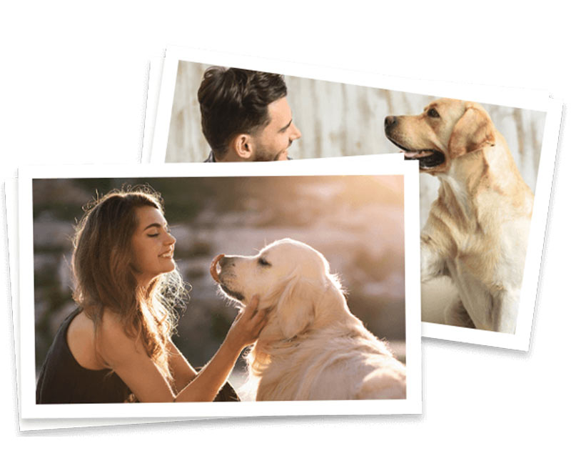 pet-reloction